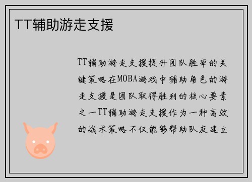TT辅助游走支援