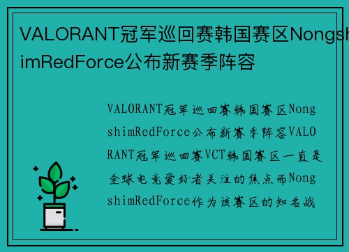VALORANT冠军巡回赛韩国赛区NongshimRedForce公布新赛季阵容