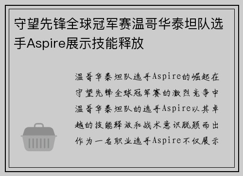 守望先锋全球冠军赛温哥华泰坦队选手Aspire展示技能释放