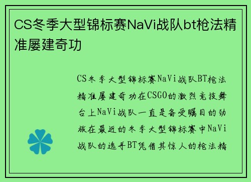 CS冬季大型锦标赛NaVi战队bt枪法精准屡建奇功
